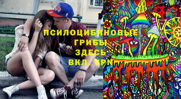 твердый Михайловка