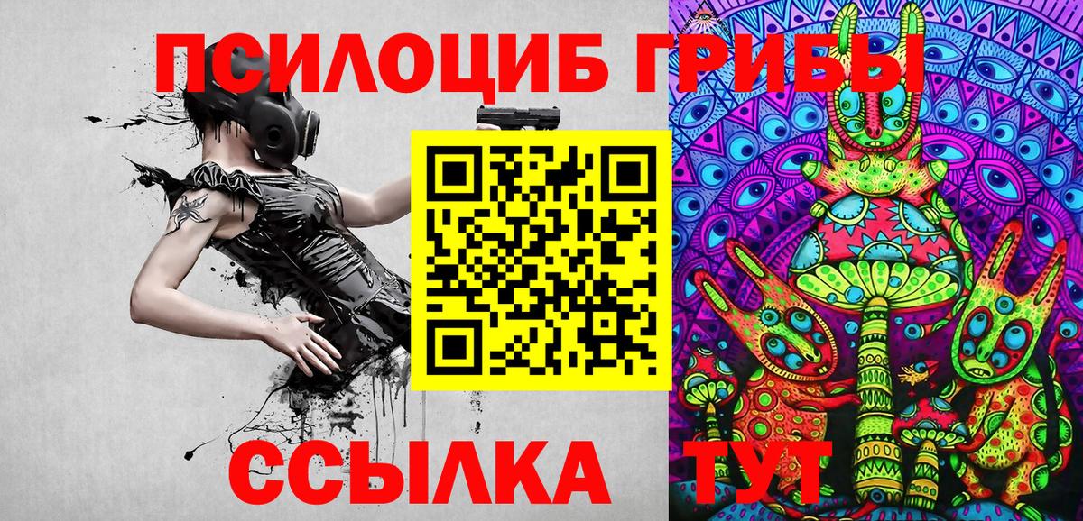 Псилоцибиновые грибы Cubensis  Галлюциногенные грибы Magic Shrooms  Петрозаводск  где найти   Вход с VPN 