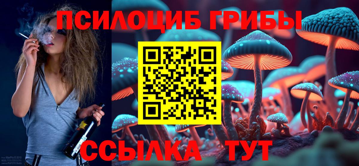 Псилоцибиновые грибы Psilocybe Петрозаводск
